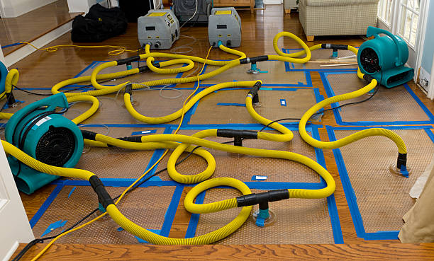 Professional Water Damage Repair technician working in Jamestown, MO